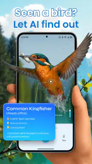 Identification des oiseaux screenshot 6