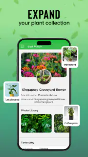 Identification des plantes screenshot 3