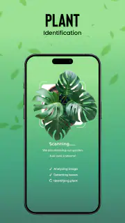 Identification des plantes screenshot 5