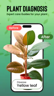 Identification des plantes screenshot 6