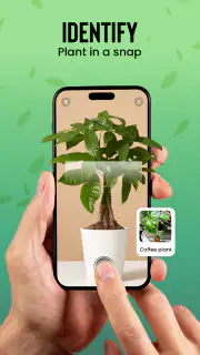 Identification des plantes screenshot 7