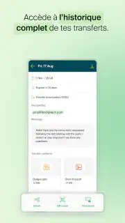 Infomaniak SwissTransfer screenshot 5