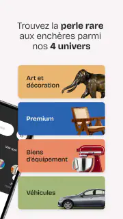 Interencheres enchère en ligne screenshot 2