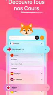 Iori Flashcards : Langues screenshot 3