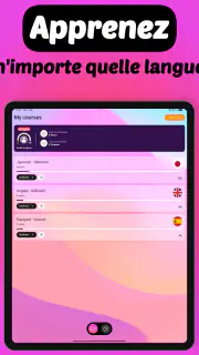 Iori Flashcards : Langues screenshot 6