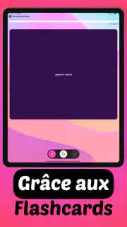Iori Flashcards : Langues screenshot 7