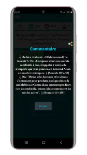 Islam Culture Générale screenshot 7