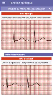 Le Guide IADE screenshot 4