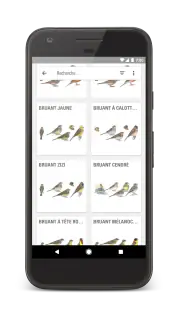 Le Guide Ornitho screenshot 2