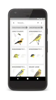 Le Guide Ornitho screenshot 4