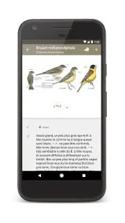 Le Guide Ornitho screenshot 5