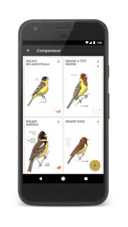 Le Guide Ornitho screenshot 6
