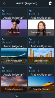 Learn Algerian Arabic. Speak A screenshot 1