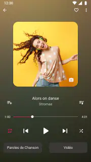 Lecteur de musique Mp3 Player screenshot 1