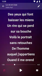 Lecteur de musique Mp3 Player screenshot 5