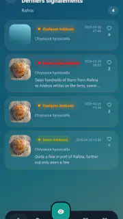 Meduseo screenshot 2