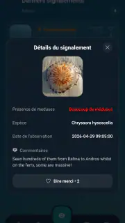Meduseo screenshot 3