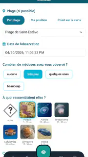 Meduseo screenshot 6