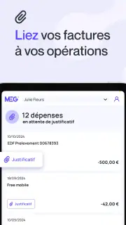 MEG - Mon Expert en Gestion screenshot 7