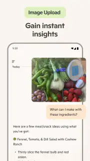 Microsoft Copilot screenshot 5