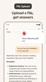 Microsoft Copilot screenshot 8
