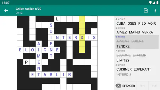 Mots Casés - Français screenshot 7