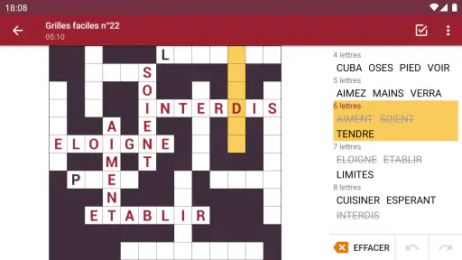 Mots Casés - Français screenshot 8