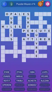 Mots Casés: Grilles illimitées screenshot 2