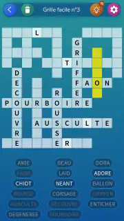Mots Casés: Grilles illimitées screenshot 8