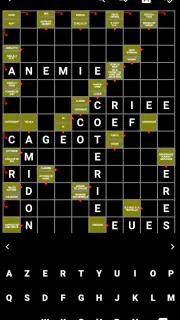 Mots Fléchés Français screenshot 4