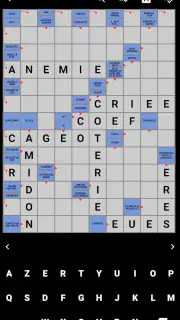 Mots Fléchés Français screenshot 5