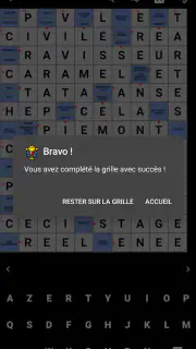 Mots Fléchés Français screenshot 7