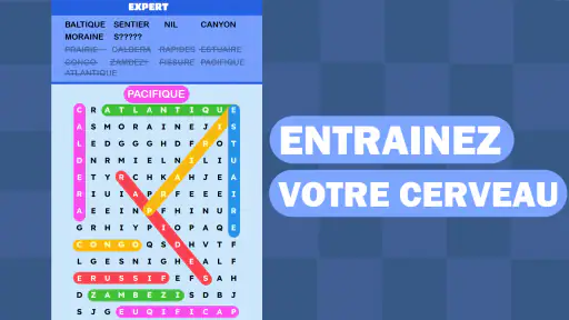 Mots Mêlés Puzzle Challenge screenshot 6