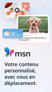 MSN screenshot 1