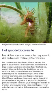 Nav&Co – une expérience Navéco screenshot 2