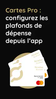 Noelse - Compte + Carte + RIB screenshot 8