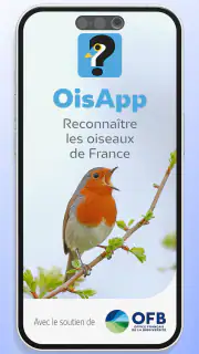 Ois'App - Oiseaux de France screenshot 1