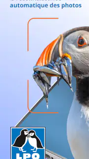 Ois'App - Oiseaux de France screenshot 2