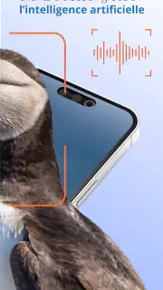 Ois'App - Oiseaux de France screenshot 3