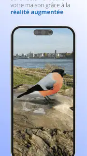Ois'App - Oiseaux de France screenshot 4