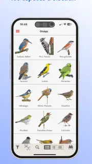 Ois'App - Oiseaux de France screenshot 5