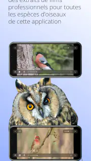 Ois'App - Oiseaux de France screenshot 6