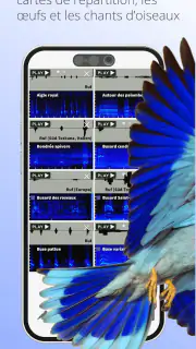 Ois'App - Oiseaux de France screenshot 7