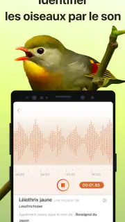 Picture Bird - Bird Identifier screenshot 3