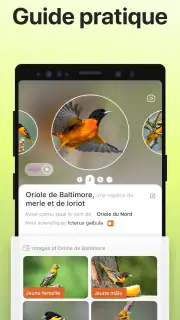 Picture Bird - Bird Identifier screenshot 4