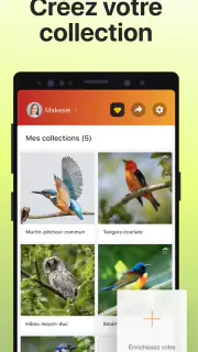 Picture Bird - Bird Identifier screenshot 6
