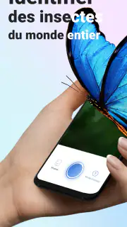 Picture Insect - Insectes ID screenshot 1