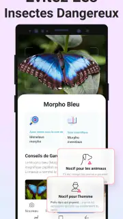 Picture Insect - Insectes ID screenshot 3