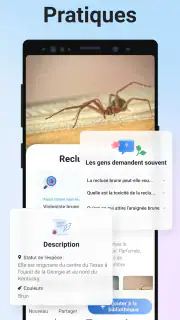 Picture Insect - Insectes ID screenshot 5