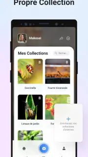 Picture Insect - Insectes ID screenshot 6